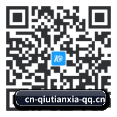 系统版 iOS 二维码